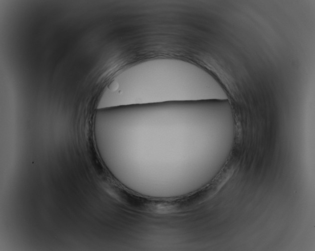 X0000088140165200705141039