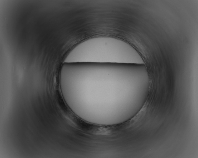 X0000088140166200705141039