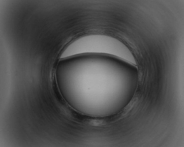 X0000088140168200705141039