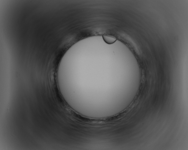 X0000088140169200705141039