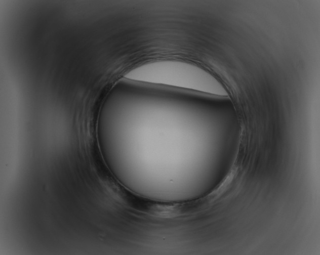 X0000088140170200705141039