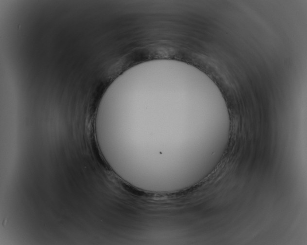 X0000088140177200705141039