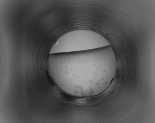 X0000088140178200705141039