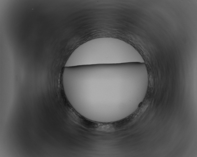 X0000088140185200705141039