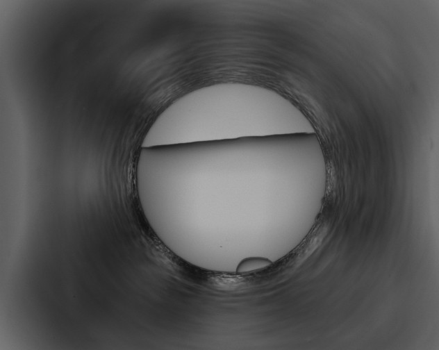 X0000088140189200705141039