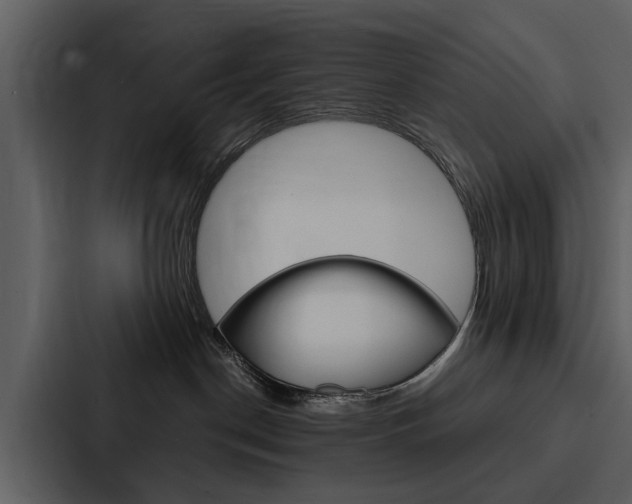 X0000088140190200705141039
