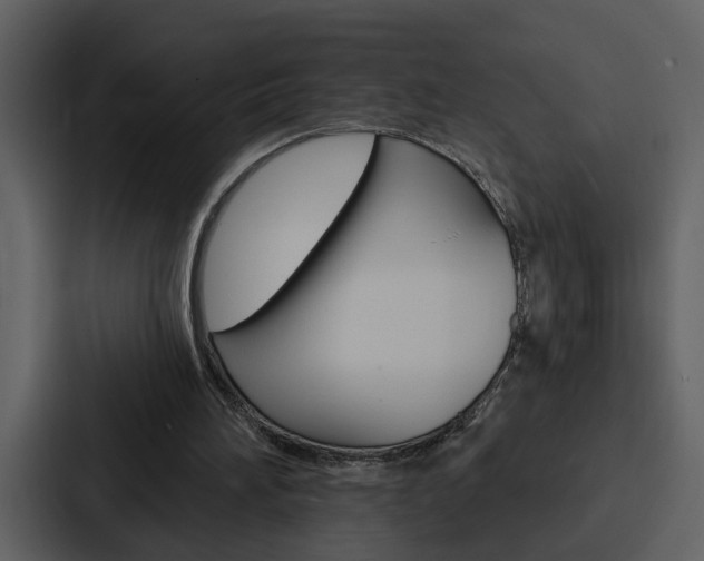 X0000088140196200705141038