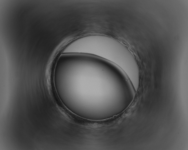 X0000088140197200705141038