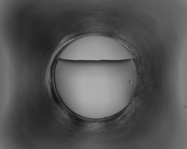 X0000088140198200705141038