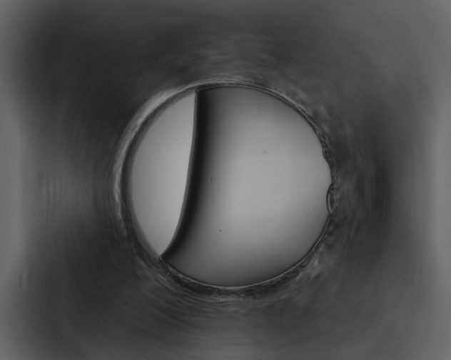 X0000088140200200705141038