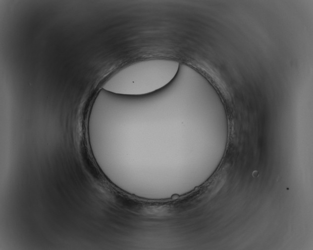 X0000088140202200705141038
