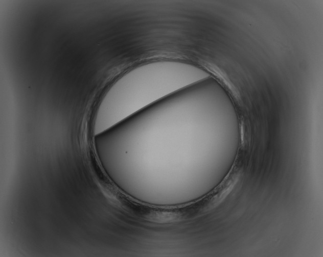 X0000088140205200705141038