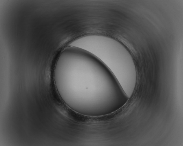 X0000088140207200705141038