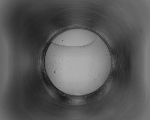 X0000088140208200705141038