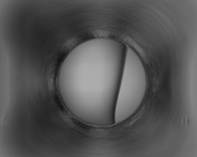 X0000088140209200705141038