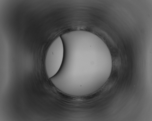 X0000088140218200705141038
