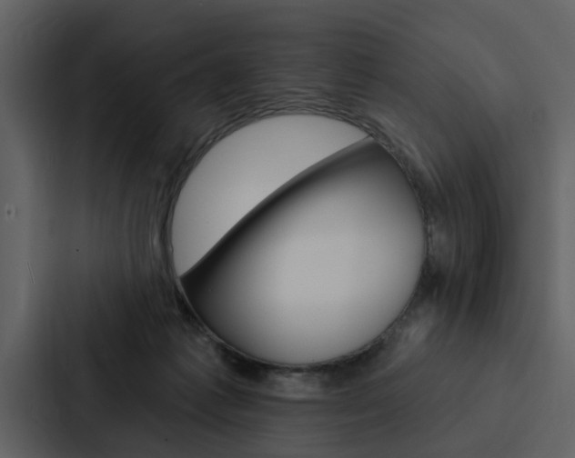 X0000088140221200705141038
