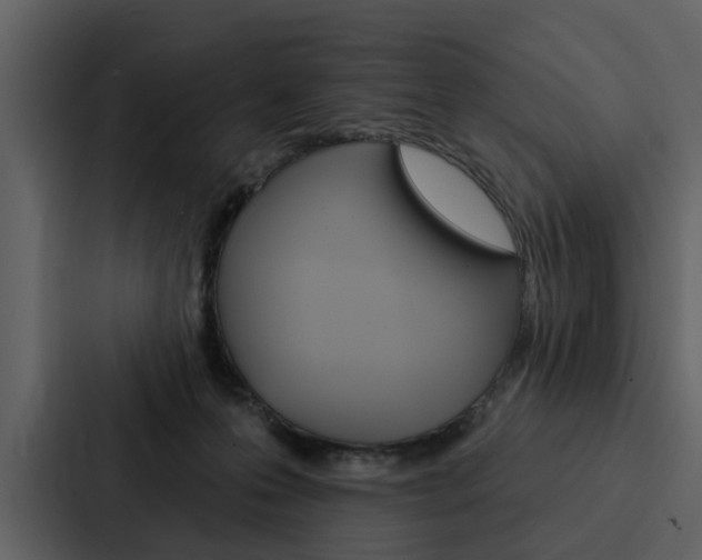 X0000088140223200705141038