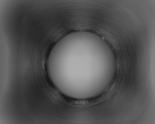 X0000088140225200705141038