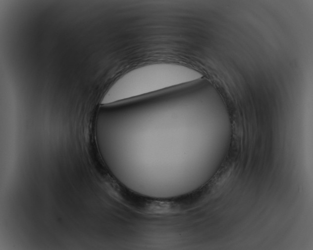 X0000088140227200705141038
