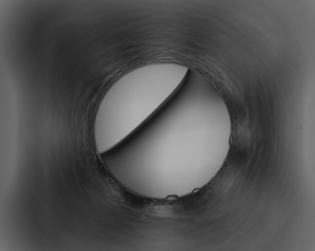 X0000088140228200705141038