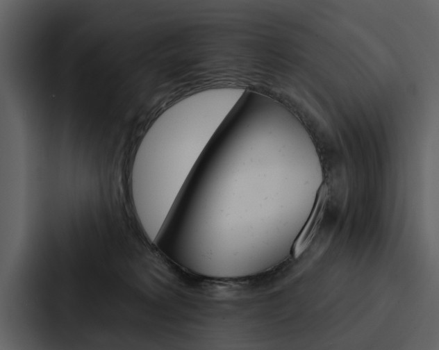 X0000088140229200705141038