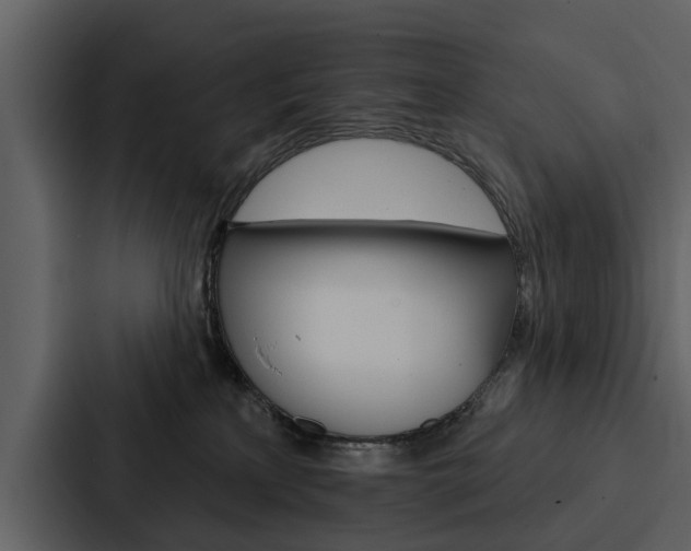 X0000088140233200705141038