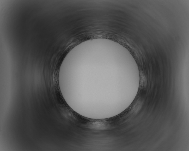 X0000088140236200705141038