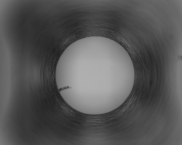 X0000088140237200705141038