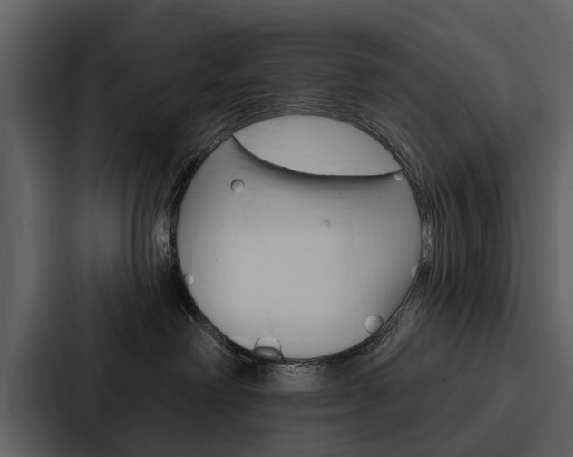 X0000088140238200705141038