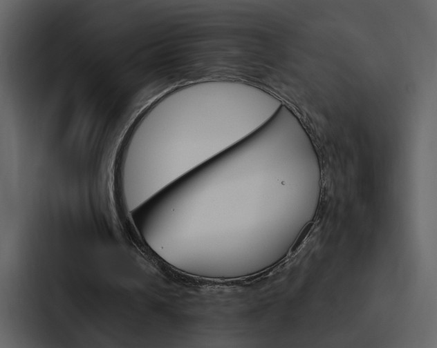 X0000088140242200705141037