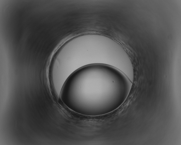 X0000088140244200705141037