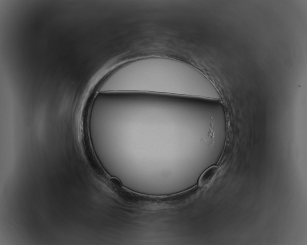 X0000088140246200705141037