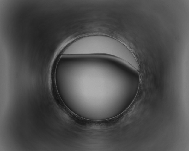 X0000088140248200705141037