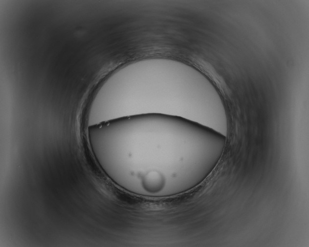 X0000088140250200705141037