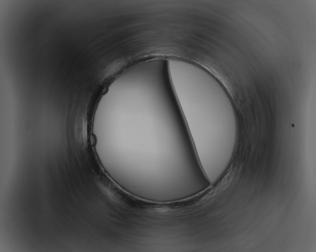 X0000088140253200705141037