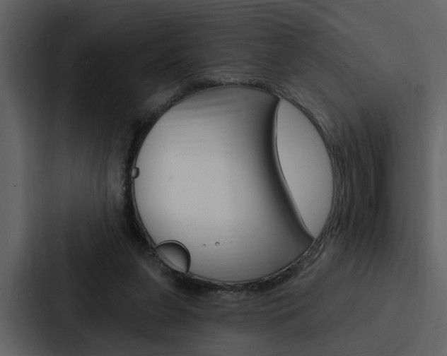 X0000088140255200705141037