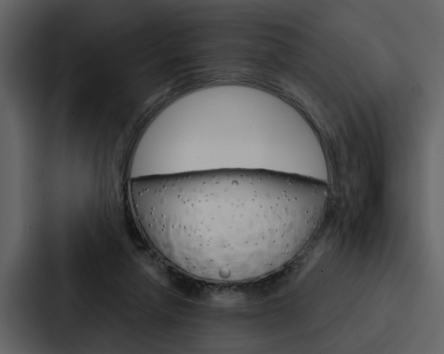 X0000088140258200705141037