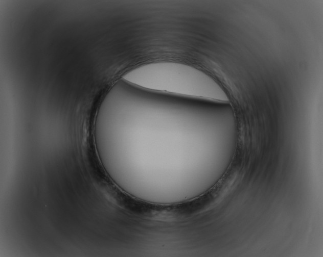 X0000088140259200705141037