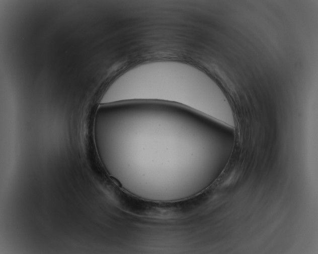 X0000088140260200705141037