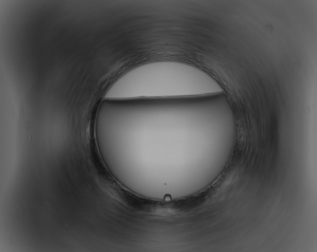 X0000088140262200705141037