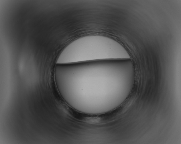 X0000088140266200705141037