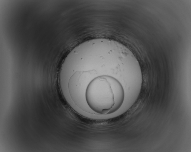 X0000088140278200705141037