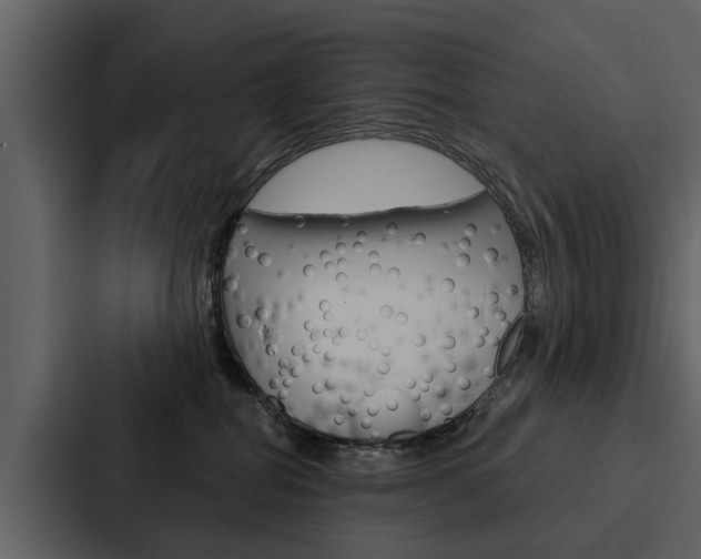 X0000088140282200705141038