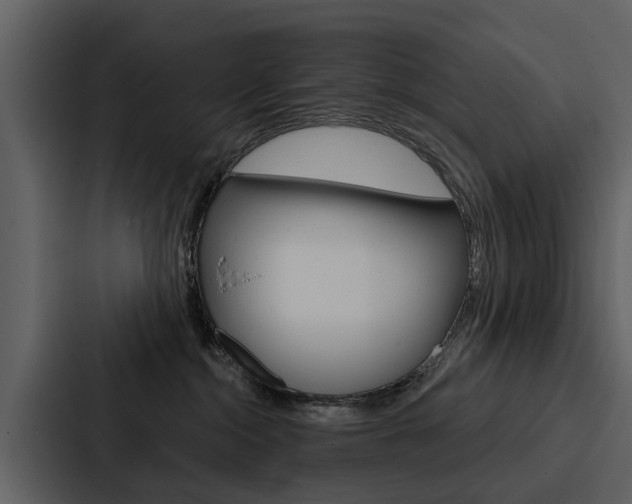 X0000088140284200705141038