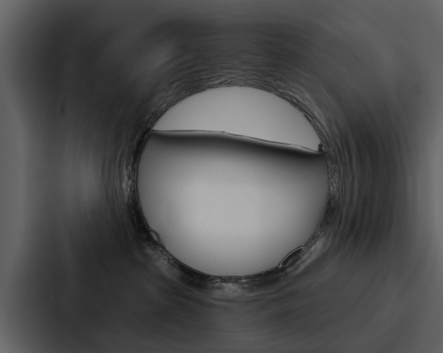 X0000088140285200705141038