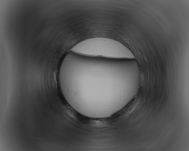 X0000088140286200705141038