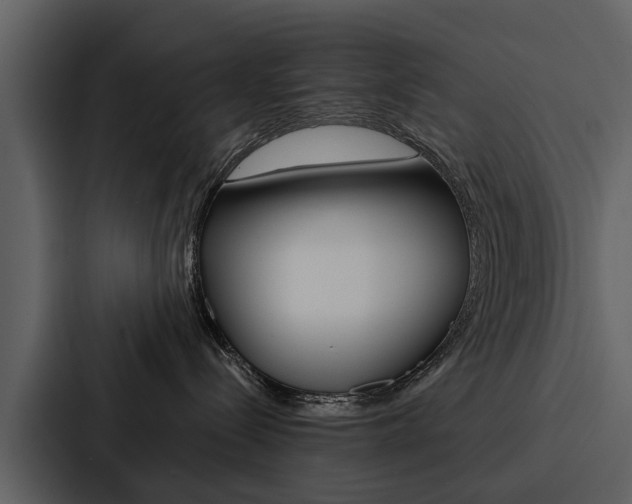 X0000088140288200705141038