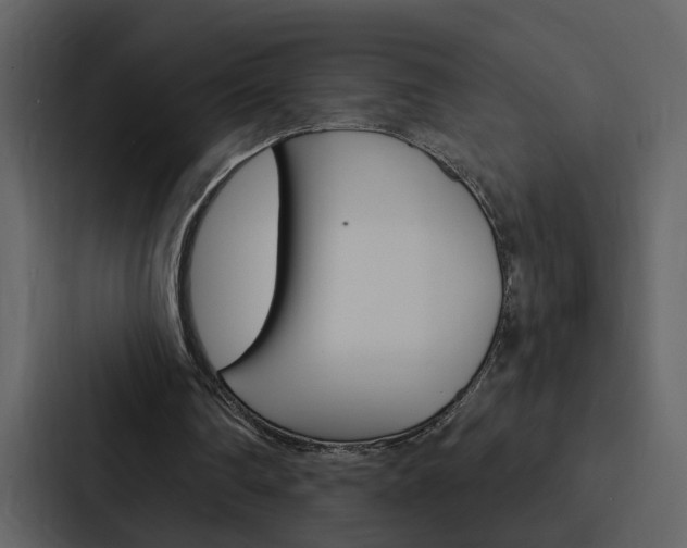 X0000088140290200705141037