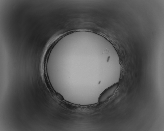 X0000088140294200705141037